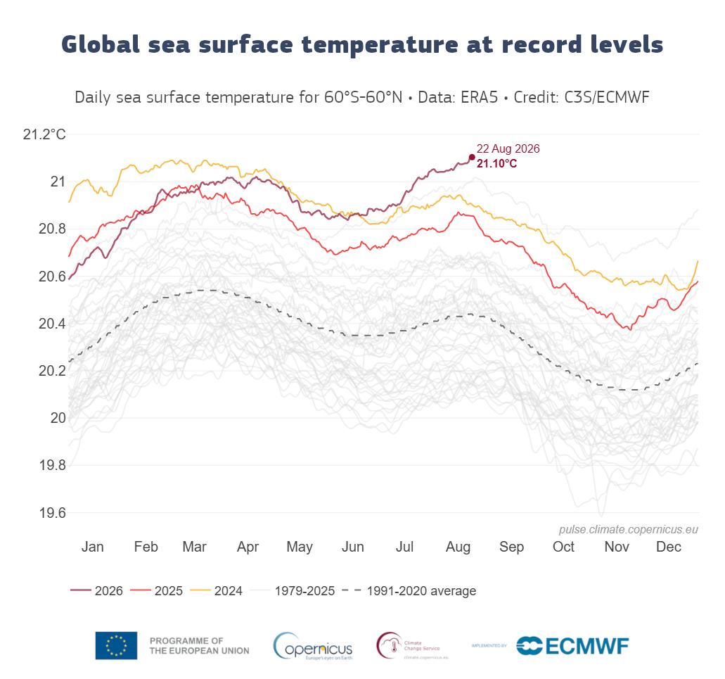 Graf som viser at det er rekordvarmt i havet globalt